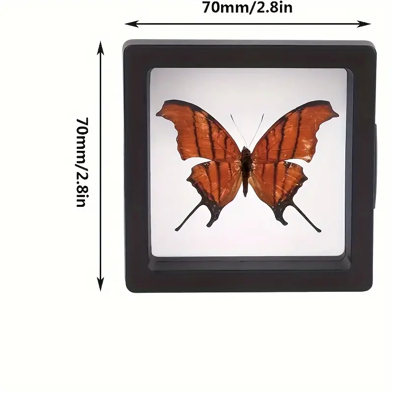 20 Buah Clearview 3D Kotak Dis - Jewelry Making Tray ulasan dan harga